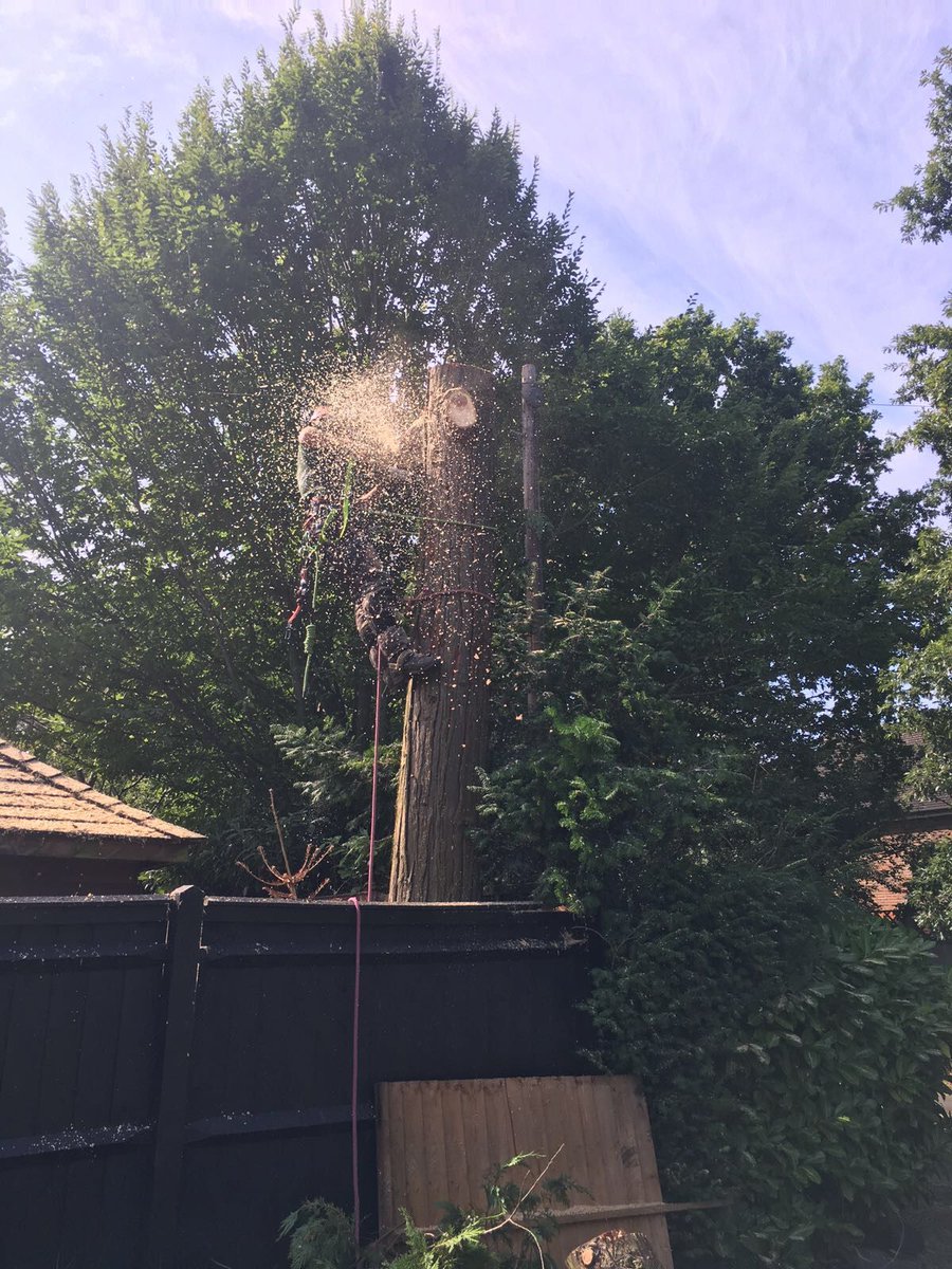 torontotreesgta's tweet photo. RT https://t.co/zrGPoa53xB torontotreesgta: RT https://t.co/OcUPTijWzT Watching the sawdust fly! #arblife #treer… https://t.co/So5Lhd7Gg4