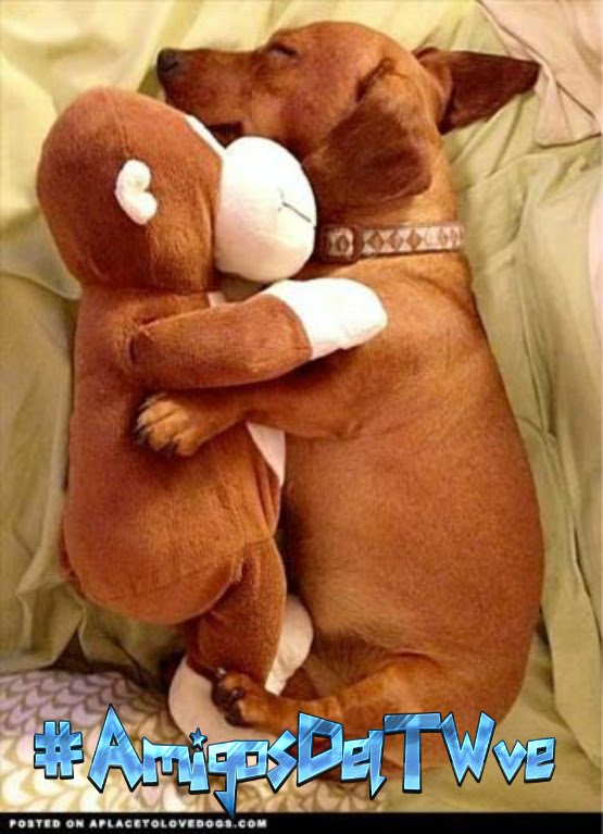 @Ma77uT @EzelI0II <a href="/Sergio3712ok/">S € R G I O™ FRIENDS</a> <a href="/WebOz_/">✿✈Pєкємια✈✿</a> <a href="/Rubenve97/">Rubén Manrique 🇻🇪</a> <a href="/kazumive/">Kazumi Nagano 🇯🇵</a> @MariaToroDiana <a href="/Alma_enpositivo/">Besos para el Alma</a> @DIOSA_IRLANDESA <a href="/MarceloMjrios/">🎰♠️ʍɑʀɔəɭʘ</a> <a href="/SiozaGabo/">Gabo 2 🇪🇨</a> <a href="/danilogave/">DANILO Garcés 🇦🇷</a> <a href="/Inaa_Echelon/">AndreinaR'</a> <a href="/NortonMoon/">Norton Aurs®️</a> @118ROCIO26 <a href="/marybelve/">MaryBell 🇻🇪</a> @TerapeutaTRE <a href="/FrancoFA89/">Franco</a> <a href="/MartaAvendao/">Marta Avendaño 🍃🌸</a> <a href="/martalaury/">🇧🇷Mara Confiando Sempre em Deus..!🇧🇷</a> <a href="/Alberto95ve/">Alberto Campos 🇻🇪</a> <a href="/Savierlope/">Savier Lopez 🇻🇪</a> @JuanSGE @MaikelRodrii1 <a href="/ferm_16/">F♡e♡r♡n♡a♡n♡d♡a #MGWV</a> <a href="/como_angela/">💜💜Angelica💜💜</a> <a href="/halconavicencio/">🌹❤️ELENA MIRANDA V.❤️🌹#E̲l̲e̲M̲i̲r̲a̲n̲d̲a̲</a> <a href="/LuzDelDesierto_/">Julio 🇦🇷</a> <a href="/SoiiiEmmanuel/">Emmanuel Cai</a> <a href="/kaleb_vzla/">LEóN CaSTrO</a> <a href="/ramses96fa/">ℝamsés 𝔽abrega 🇵🇦</a> <a href="/giovarengifo/">GIO ®</a> <a href="/Antonyangel10/">Antony Taylor</a> <a href="/maxibrunoo/">mb</a> <a href="/h_bezerra/">Hamilton Bezerra 🐦</a> <a href="/AxelCARP17/">RIVER Y NADA MAS...</a> <a href="/ElderAcost/">ELDER AC✪STA 📚23ʸʳˢ⚽️</a> <a href="/Gachy__River/">Piel Morena🤍♥️🤍</a> <a href="/yonaikerco/">El KATIRE  Yonaiker</a> @adran7719 <a href="/fdcmail/">Fernando DC</a> @Unafrasedelocos <a href="/acostavlad32/">Vladimir Acosta</a> ➽┉┉ ❥#𝒢𝑜𝑜𝒹𝒩𝒾𝑔𝒽𝓉

╭█⭐️█╮@Ma77uT 

➽┉┉ ❥#AmigosDelTWve👫
#FelizNoche Mati 😊