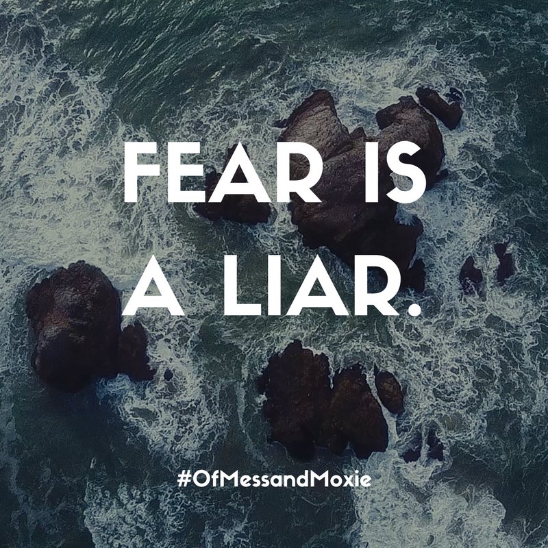 NelsonBooks's tweet image. Fear is a LIAR. 

@JenHatmaker #OfMessandMoxie 

ofmessandmoxie.com