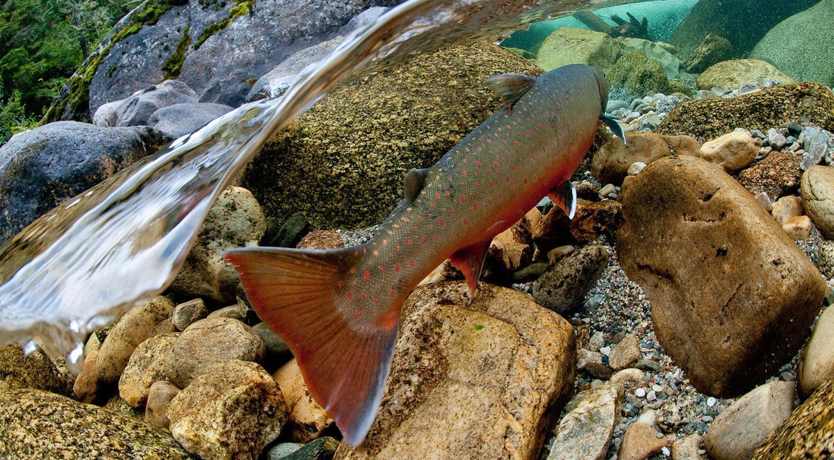 “Global climate change is happening, and whether you believe it’s human-caused or a natural occurrence makes a big difference.”