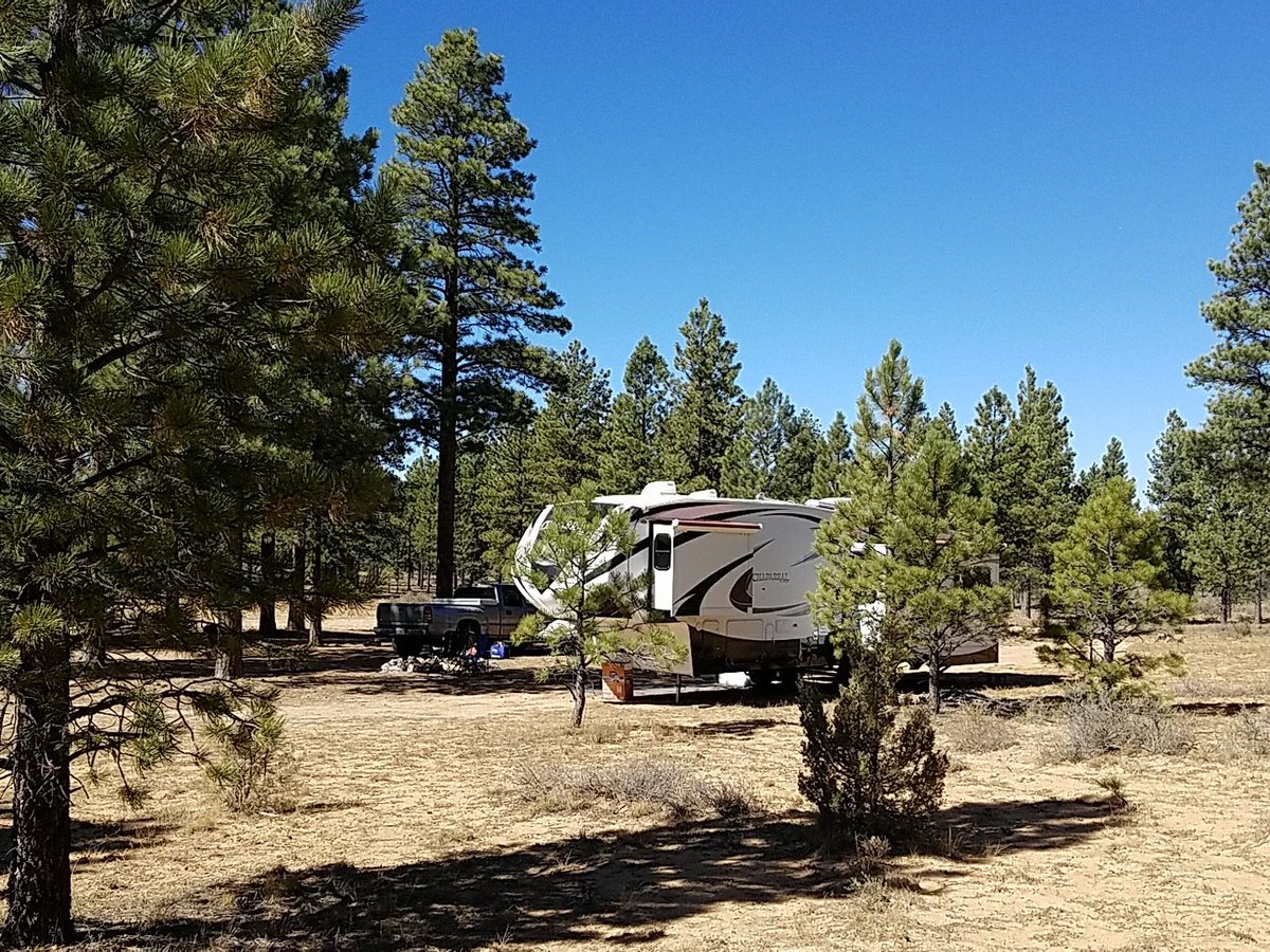 home_withwheels's tweet photo. Just watched a big smile deer buck saunter through the woods in front of our 5th wheel.  I love boondocking!  #rvlife #homewithwheels #Utah https://t.co/VJA0ENIO1c