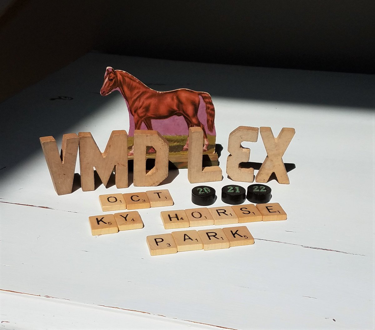 VMDofLexington's tweet photo. Vintage Market Days October 20-22 at The Kentucky Horse Park🐴 in the Covered Arena #VMDLex #VisitLex #SharetheLex #Keeneland #KYHorsePark https://t.co/lIG61Lt9FI