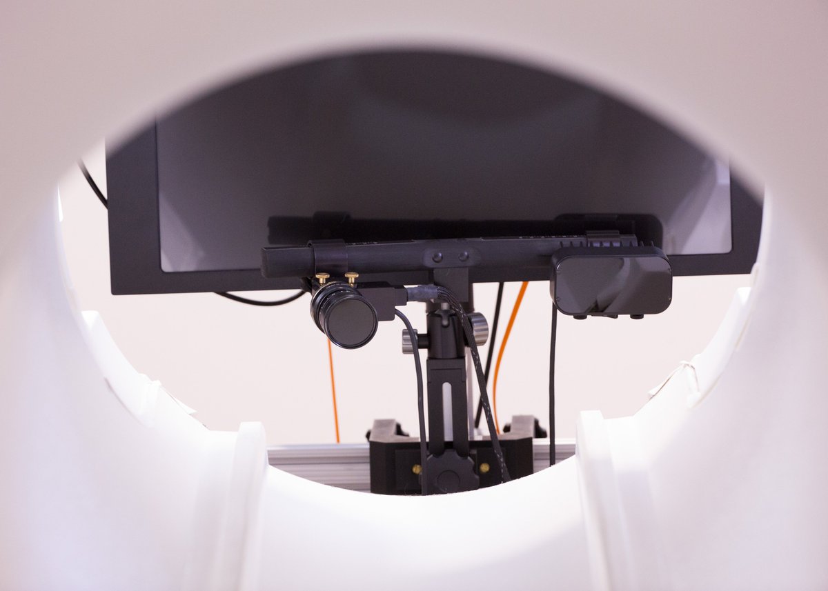 neurosecurity's tweet photo. We tested how people “tune out” warnings across 1 week using fMRI and eye tracking, and across 3 weeks in the field. https://t.co/WQLqQCD7CO https://t.co/rQSTedmYP9