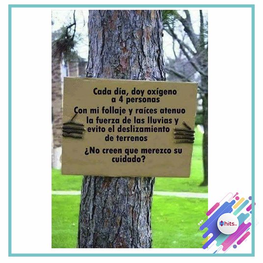 HitsFM1025's tweet photo. Cuidemos la naturaleza.
#RT si estás de acuerdo.
#Hits #Contigo https://t.co/u0VgcTI1kO
