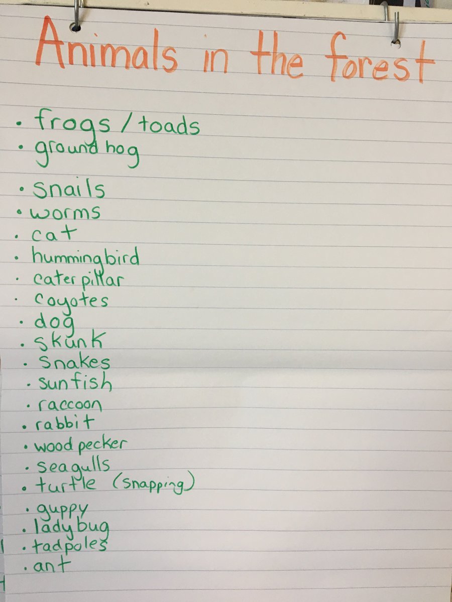 Animals in our forest in Thorndale, Ontario, Canada  #gramem