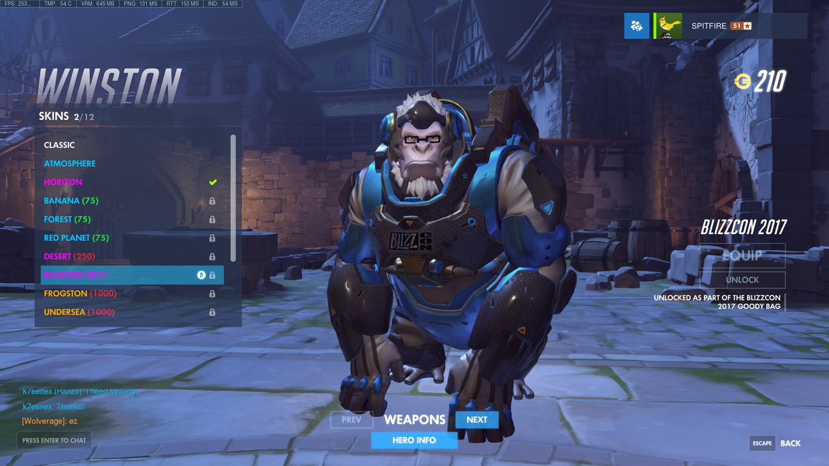 Blizzcon Bastion Skin Naturalskins