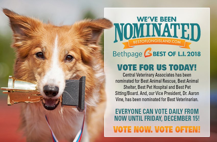 We've been nominated! Vote for us today! bit.ly/2ye8OKX #BestofLongIsland #WereNominated #VoteforUs #CVAallDay