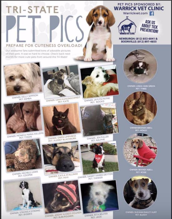 Check out the October edition of Tri-State Pet Pics! On stands NOW! 🐶
