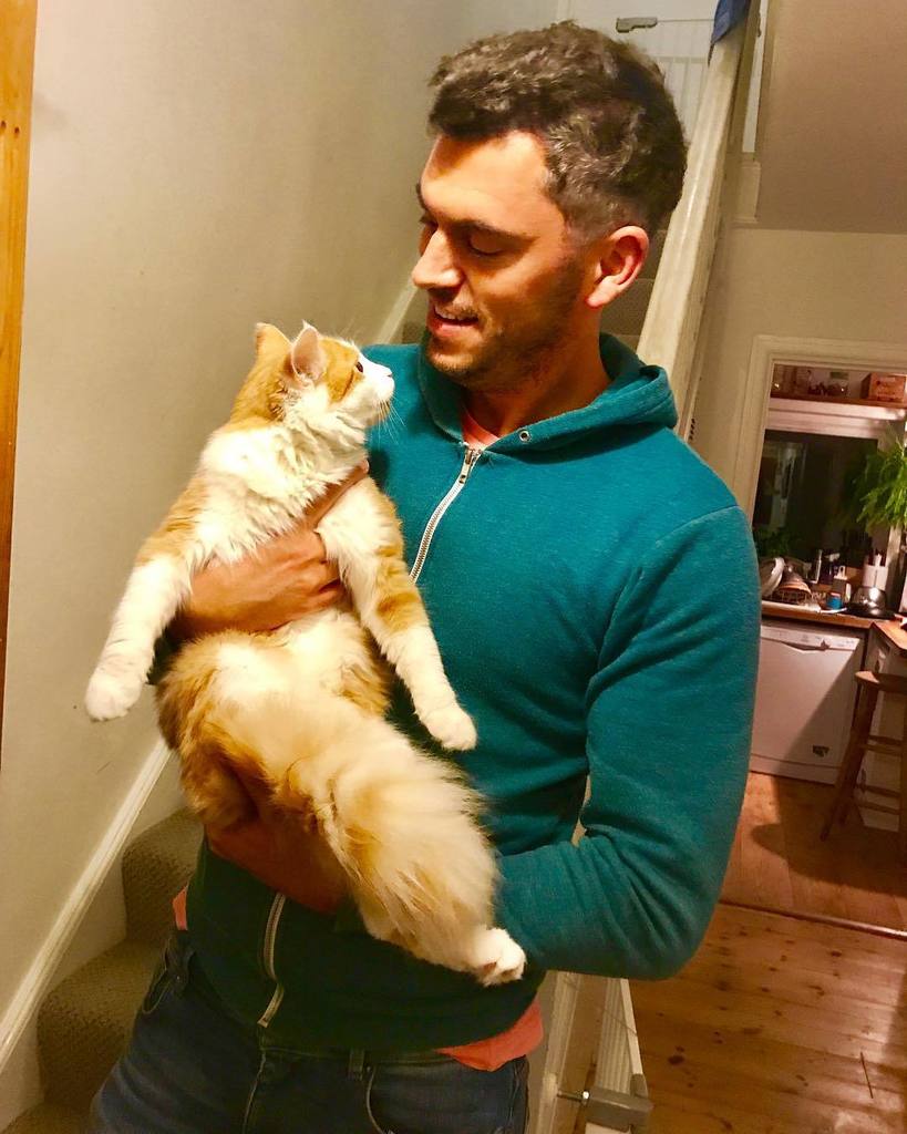 Been a pleasure feeding my neighbours cat for the last week - I might pinch him !! 🦁 #cats #cute #kitten #pets #pa… ift.tt/2ga6aQj