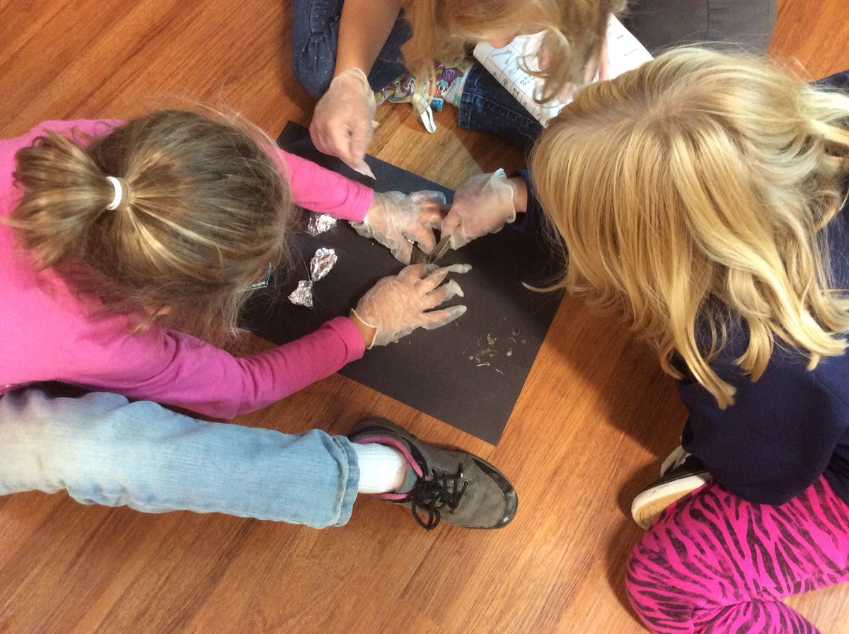 Exploring what's exactly inside those owl pellets.
