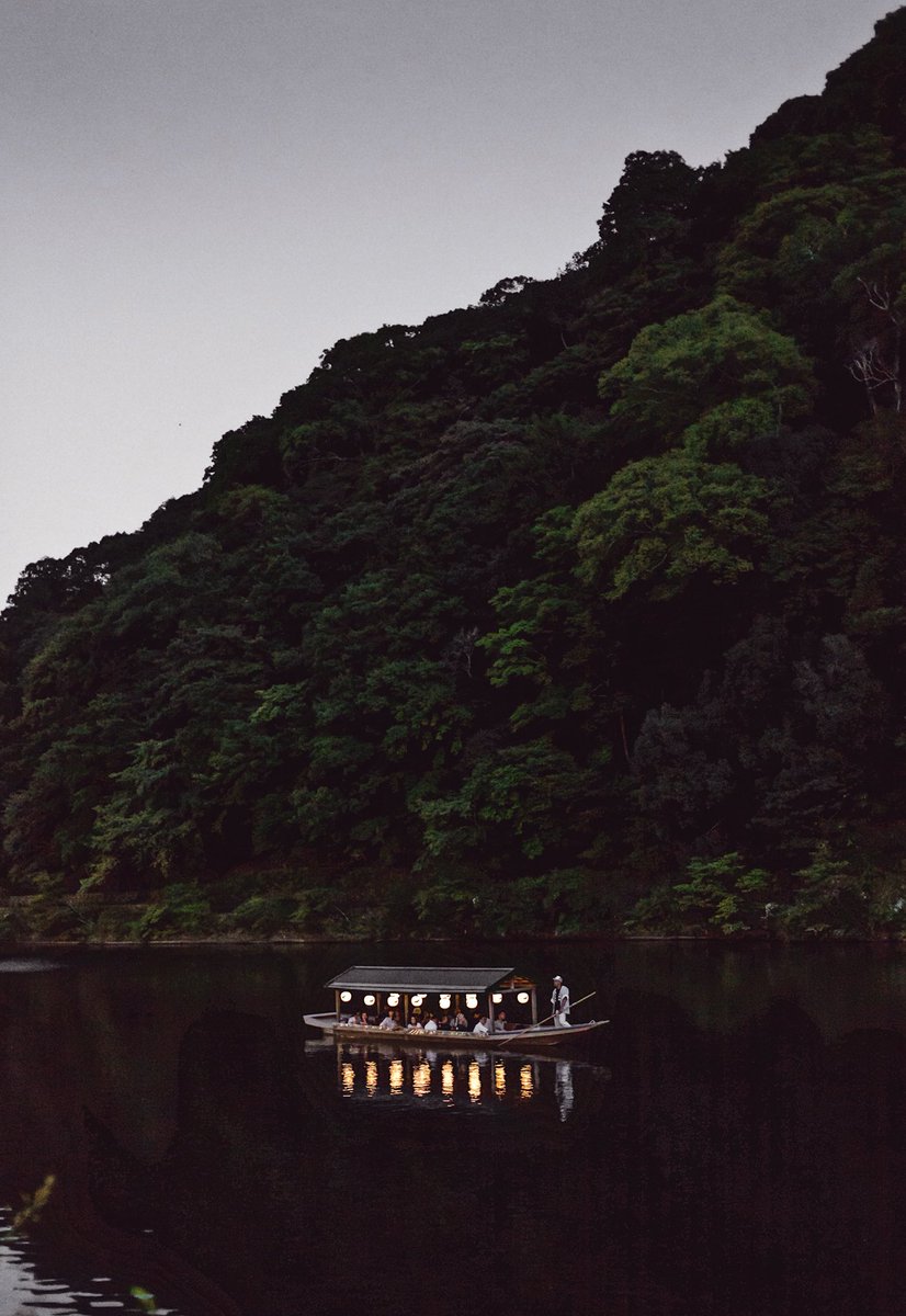 Cormorant fishing in Kyoto #japan  #ukai