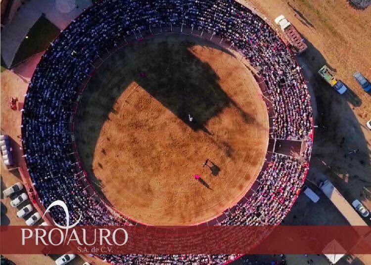 ProTauro_'s tweet photo. La plaza llena es garantía de dos cosas, espectáculo y calidad en el ruedo. #Protauro https://t.co/07FGp8nmIl