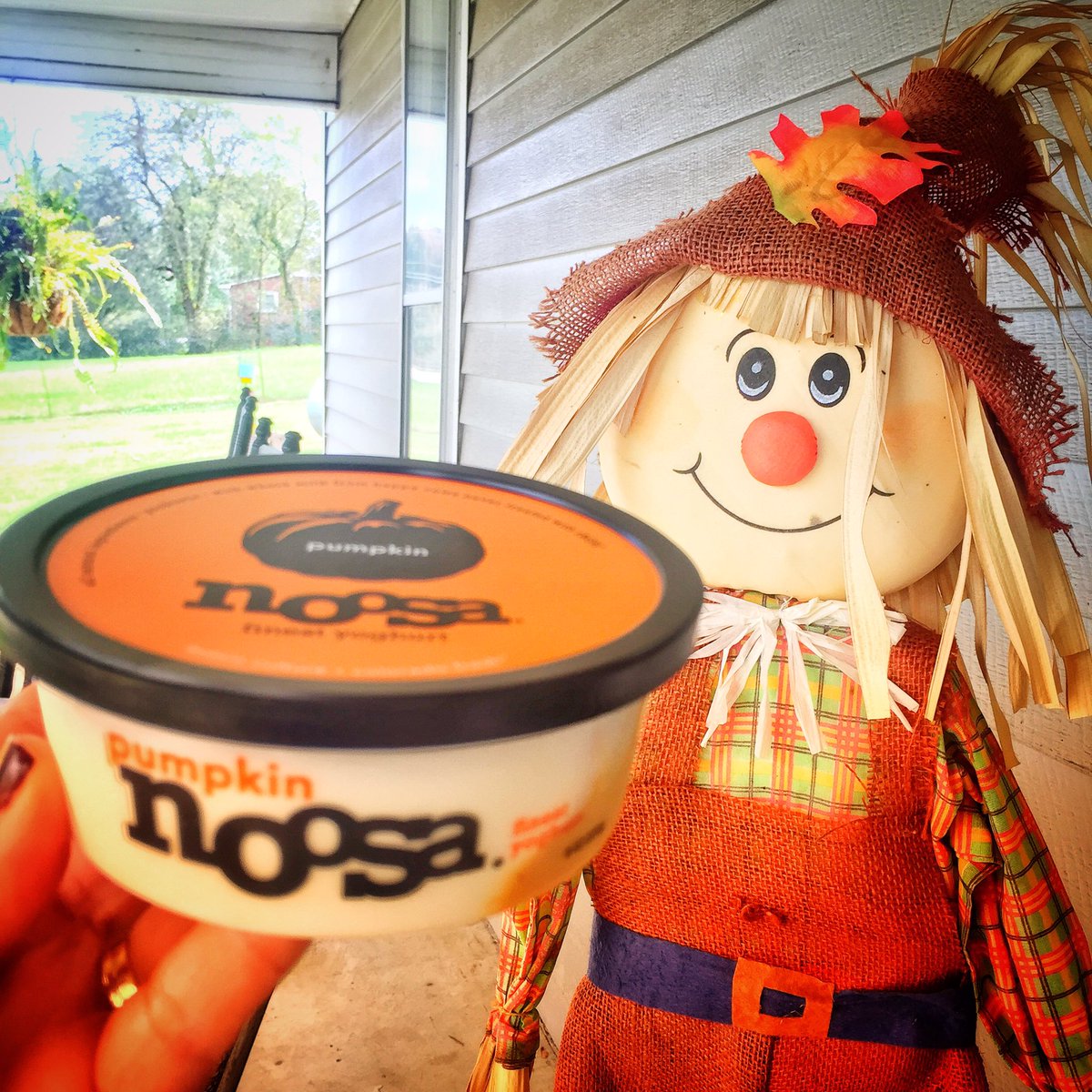 SamaleeAllen's tweet photo. Day 10 of #31DaysOfPumpkin, tastes like PUMPKIN Cheesecake & is Scarecrow-Approved for #punkinchunkin! 🎃 #flipyolid @noosayoghurt https://t.co/nTFg9yynaq