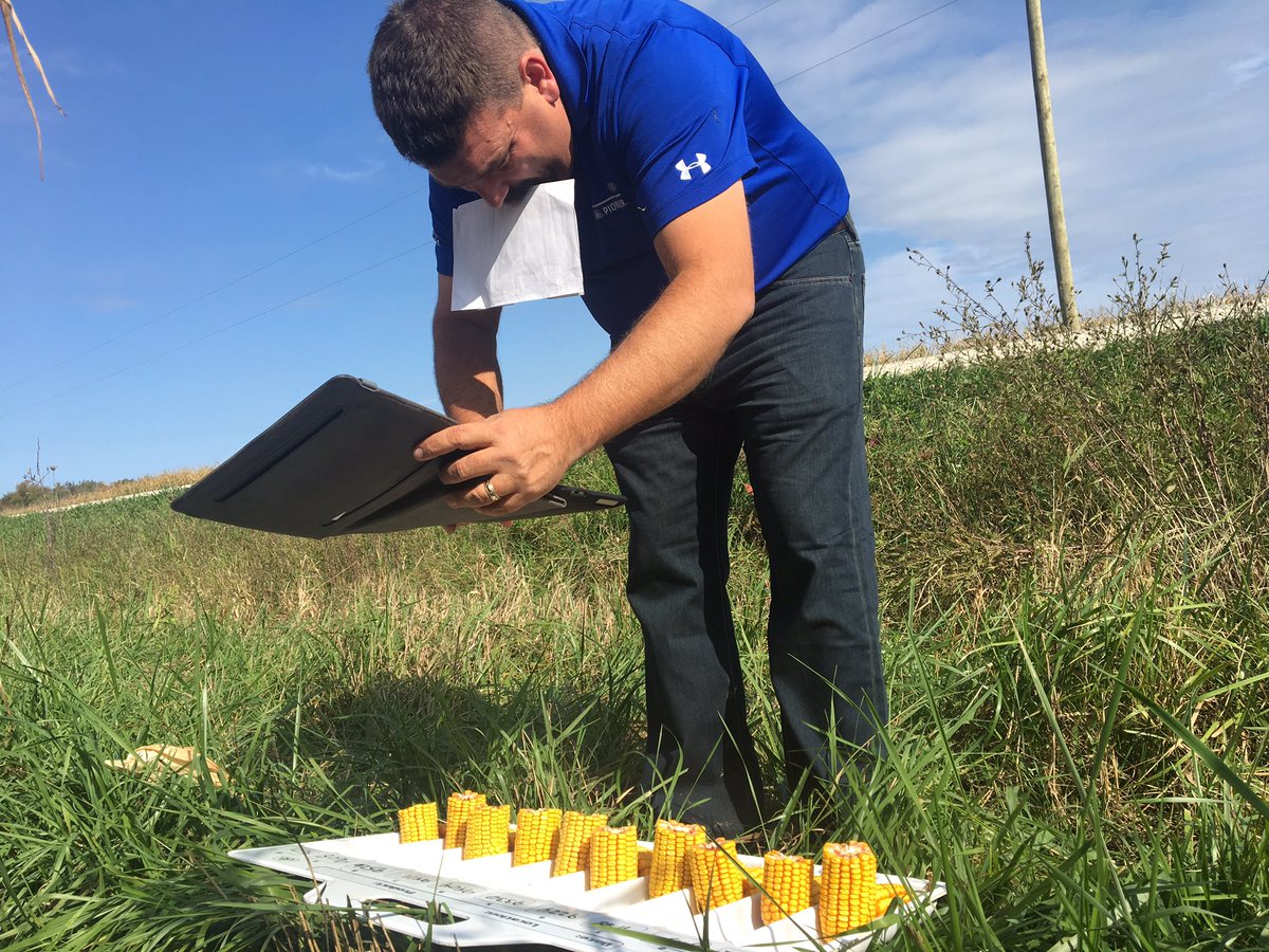 Jeremy_OShea's tweet photo. @Hogwild100 is to Corn pictures what Anne Geddes is to baby pictures #cornartist #hardworkin @DuPontPioneer https://t.co/LZHKYMY2ZH
