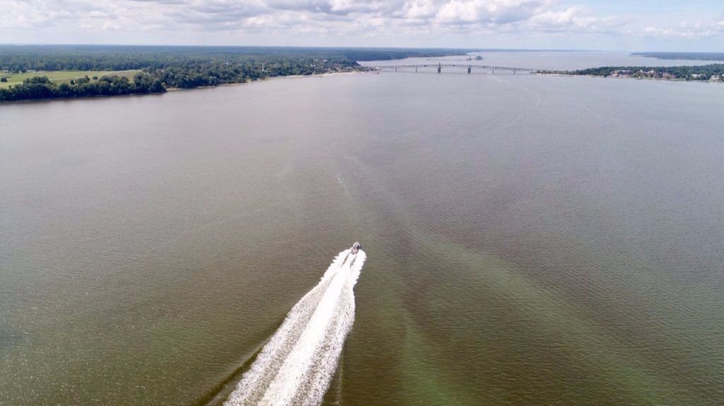 Baltimore Sun Green tweet media