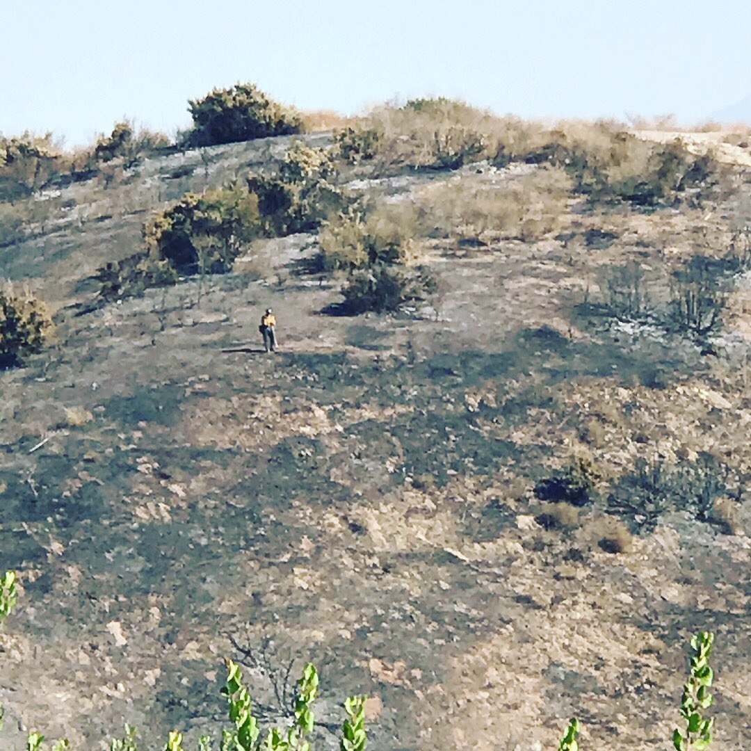 peaceandpanic's tweet photo. #CanyonFire2 @CALFIRERRU https://t.co/pvqqLfqjbl