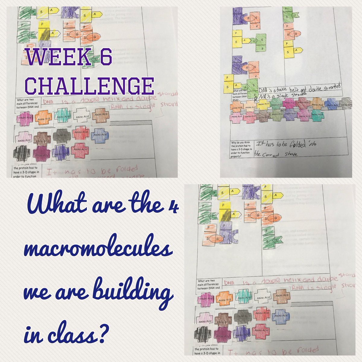 HummingbirdTina's tweet photo. Week 6 Challenge. Working on different molecules for Science #CISDPR1DE https://t.co/b1anDuCtZv