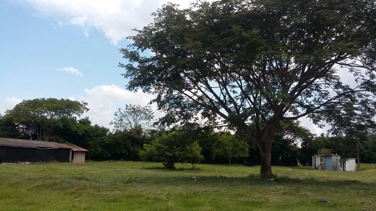 CeibaEice's tweet photo. Realizamos la rocería y poda de árboles en la Planta de Beneficio Animal,acciones q mejoran las actividades del faenado de bovino y porcino. https://t.co/cXvbjh8txI