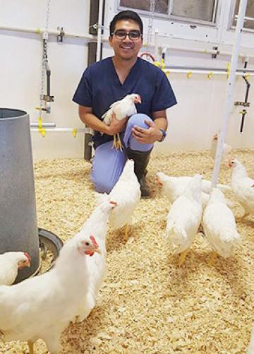 The future prospects of a degree in animal science