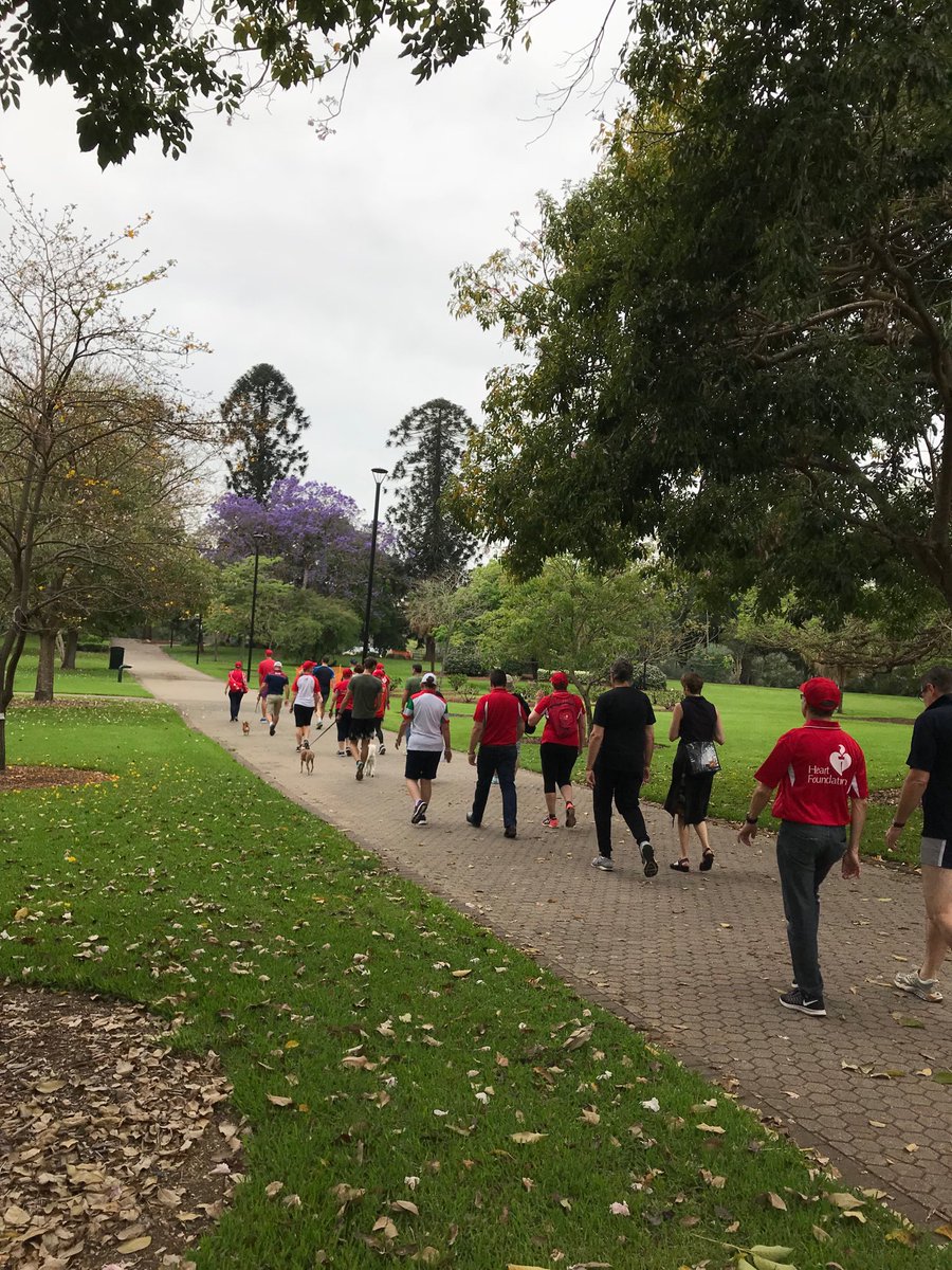 heartfoundation's tweet photo. Walking meeting for Qld MPs and @HeartAust in Brisbane Botanic Gardens. Great way to start the day! @walkatworkaus @10000Steps_ https://t.co/AUXJCTUXIY