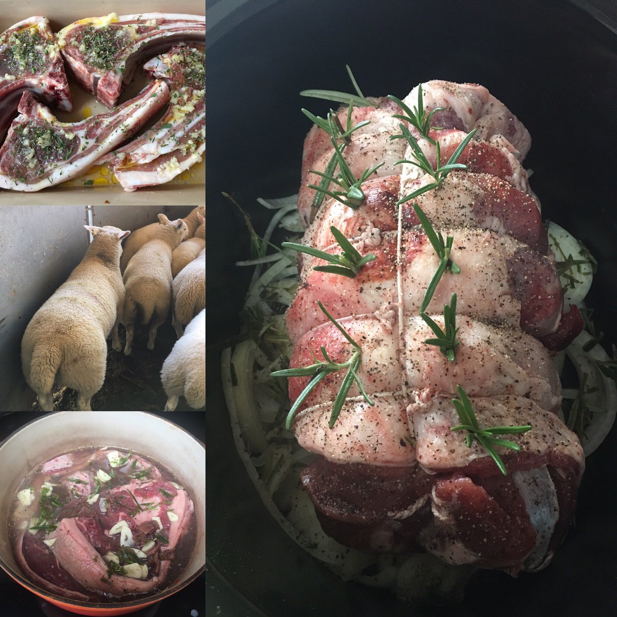 louise_urquhart's tweet photo. My order book is open for lamb &amp; mutton boxes to find out more just reply "yes please" &amp; I'll be in touch #lovelamb #lambassador #farmtofork https://t.co/KZlogvgB0G