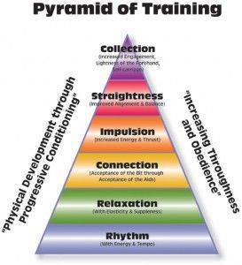 Know it! Live it! Breathe it! #dressage