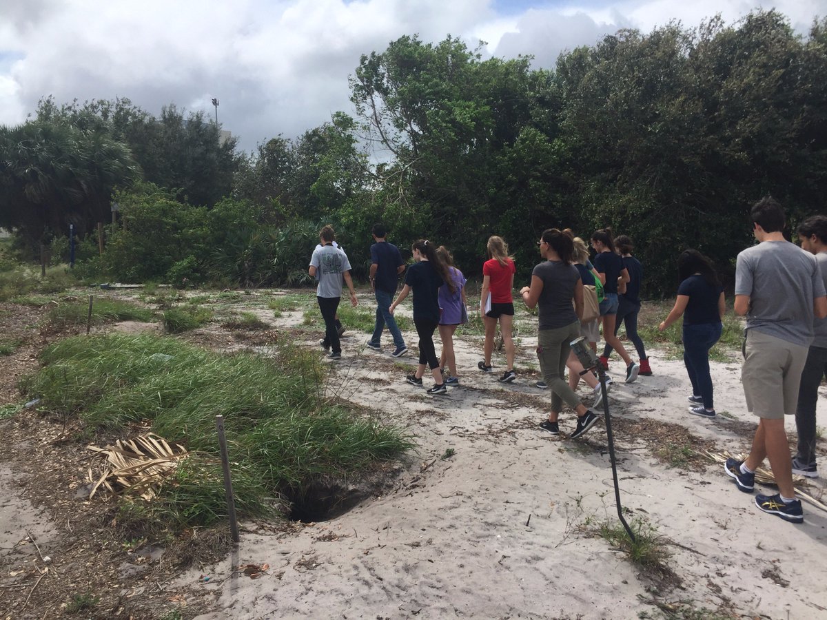 evolutionclass's tweet photo. Last week's trip to a local scrub preserve and gopher tortoise research site. #gpslearns #experientiallearning #fieldbiology https://t.co/qTBJ7dK8DM