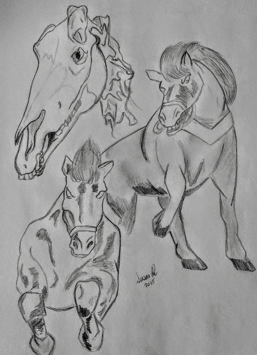 DuSusociety's tweet photo. Seeing a lot of #horses pop up in my feed that I forgot I did this #drawing a while ago #lostdrawing https://t.co/xCCJg1Hv7X