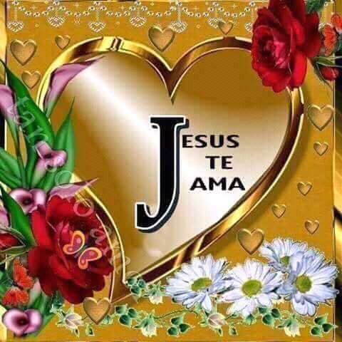 GerreraDe's tweet image. 