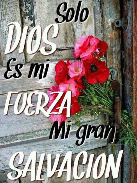 GerreraDe's tweet image. 