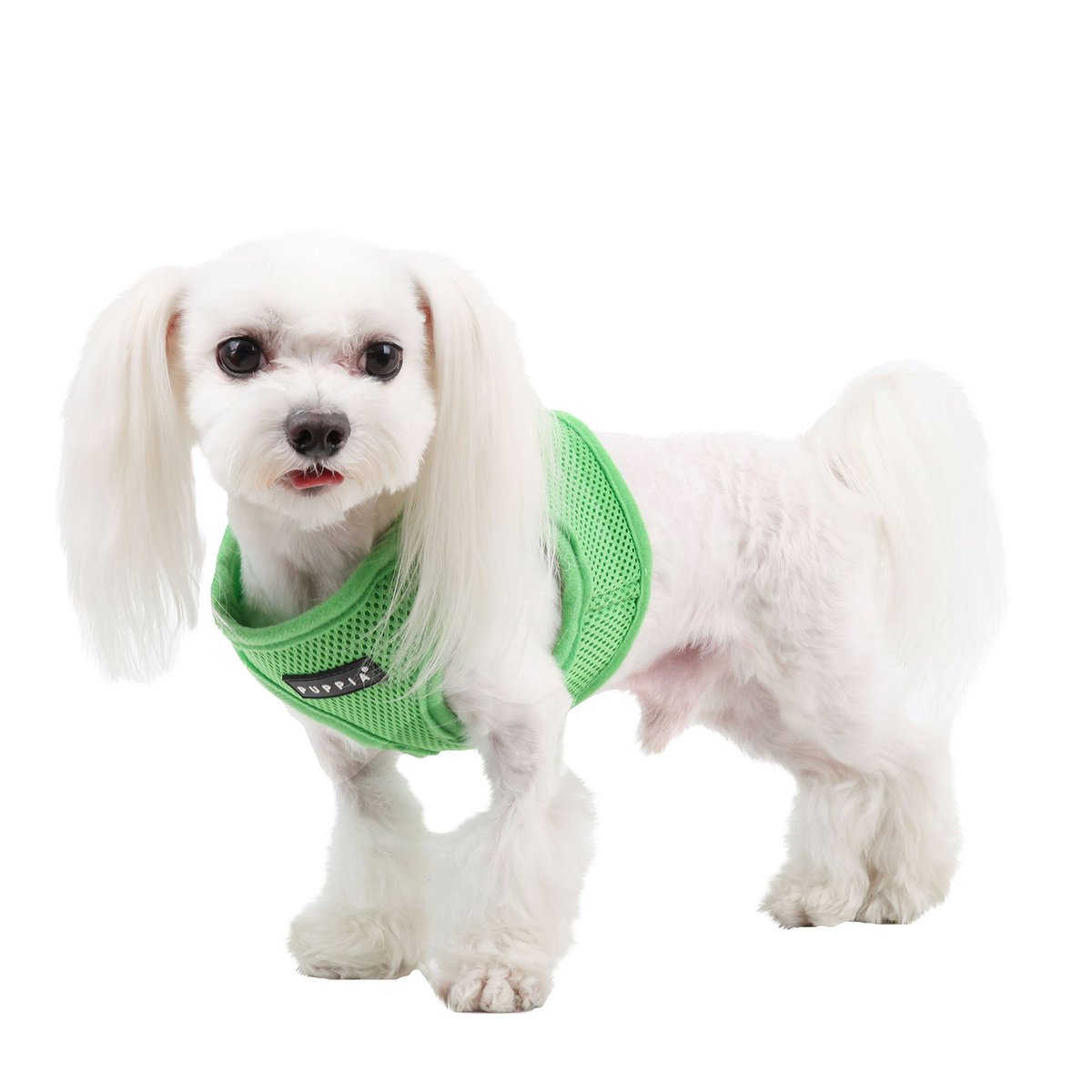 puppia soft vest harness