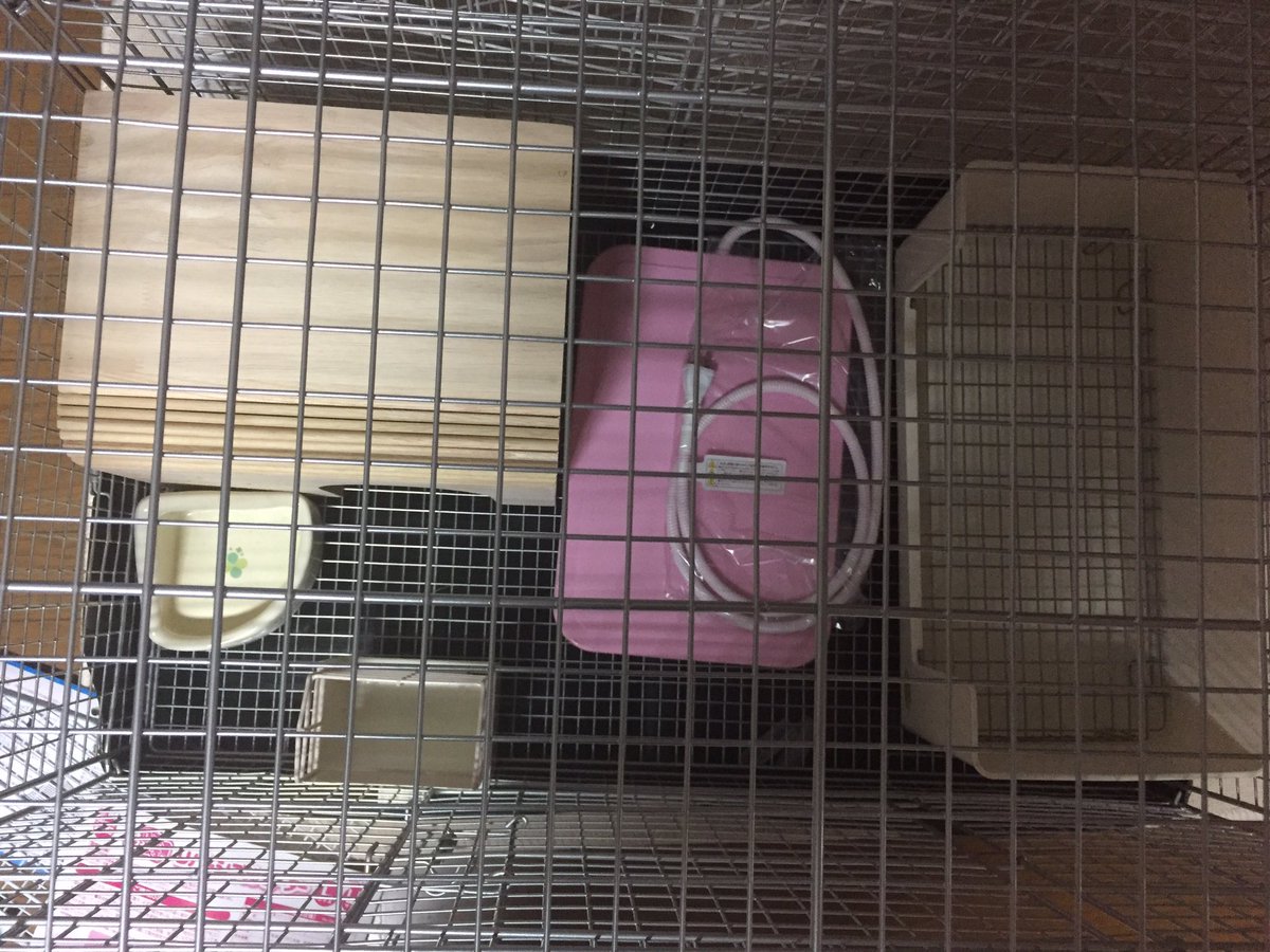 ここあ お店で聞いて ミニうさぎは大きくなるって言われて 大きい方のスターターセットを買ったけど ゲージが大きいのはいいけど トイレも餌入れもでかい 置き場所 こんなんでいいのかな トイレ買い直そうかな ミニうさぎ お迎え準備中