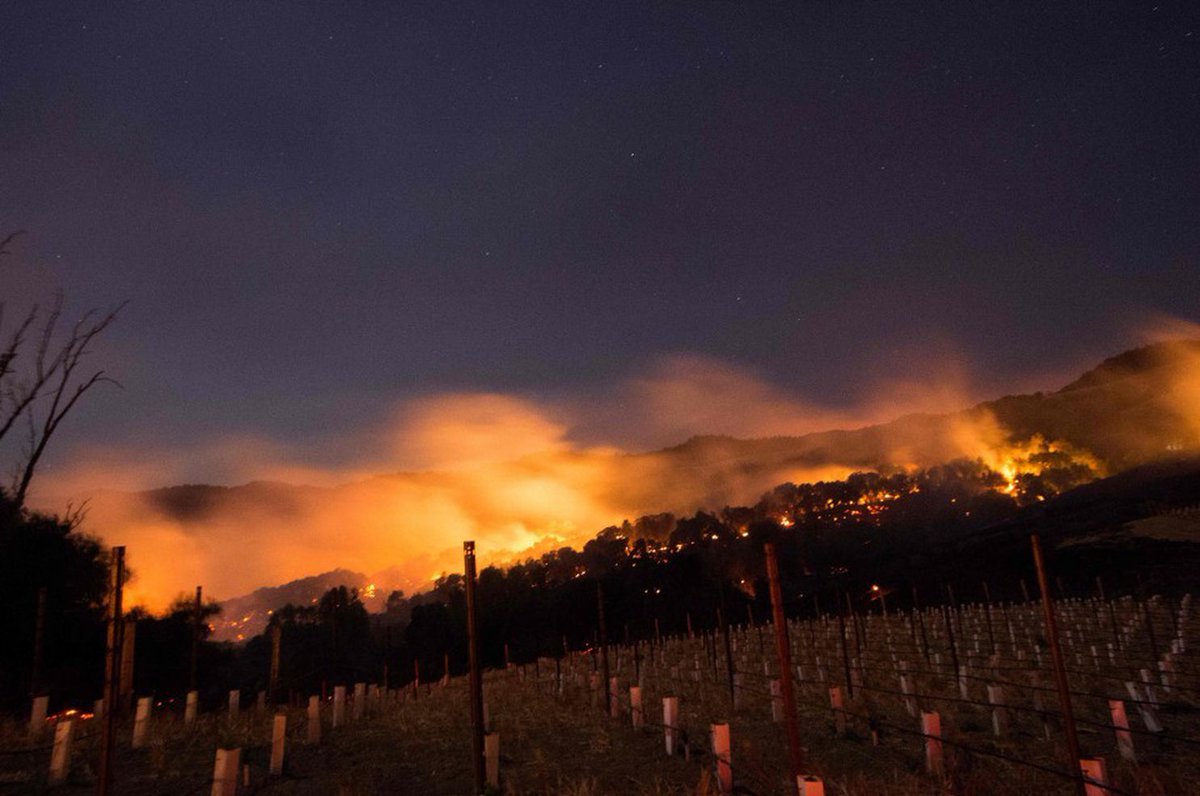 #Top_Stories Deadly fires ravage California's wine country, leaving at least 15 dead, more than 180 missing -… goo.gl/AoU84p