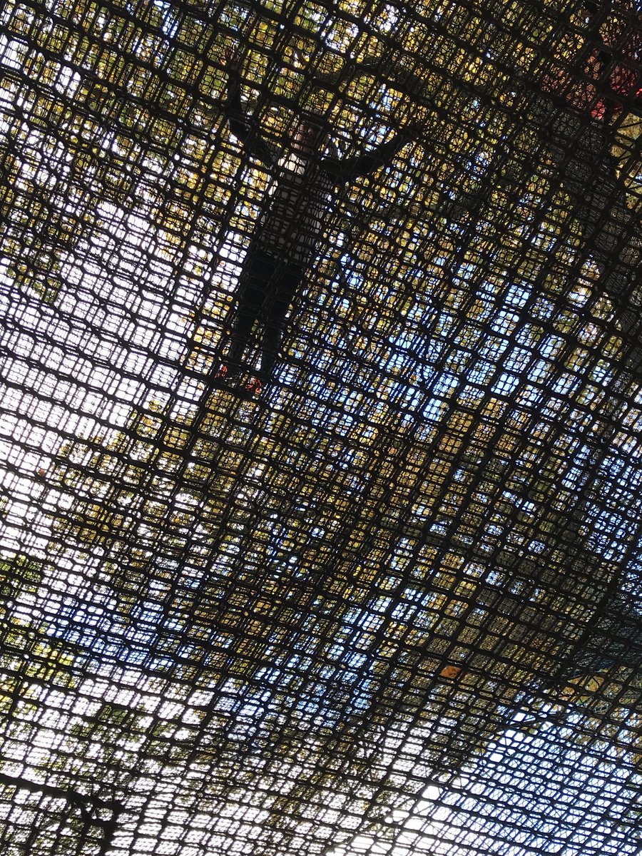 sadiehall74's tweet photo. Having fun @lakedistrictnpa @brockhole #treetopnets https://t.co/iZnB2OIiHX