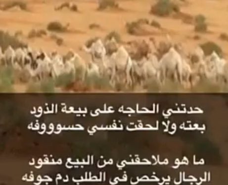 سهـــــم .....!! (@awt__vvv) on Twitter photo 