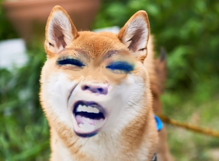 過去のネタとか