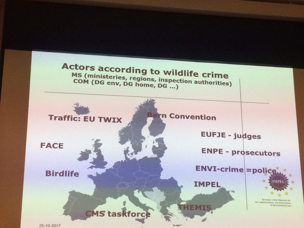 eleonorapanella's tweet photo. In #Leystad to discuss about more integrated training programs #IMPEL enforcement. #wildlifecrime https://t.co/H67Z9ijtaU