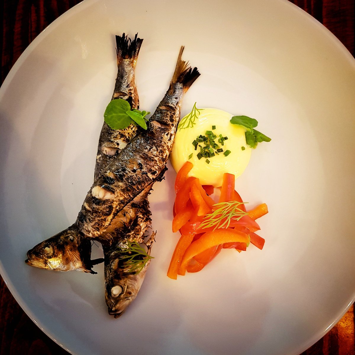 _eddy1988's tweet photo. Grilled sardines for lunch this week @CosyCornerL beautiful sardines from @CelticCoastFish #itsallaboutthefish https://t.co/cc1DBqLKxI