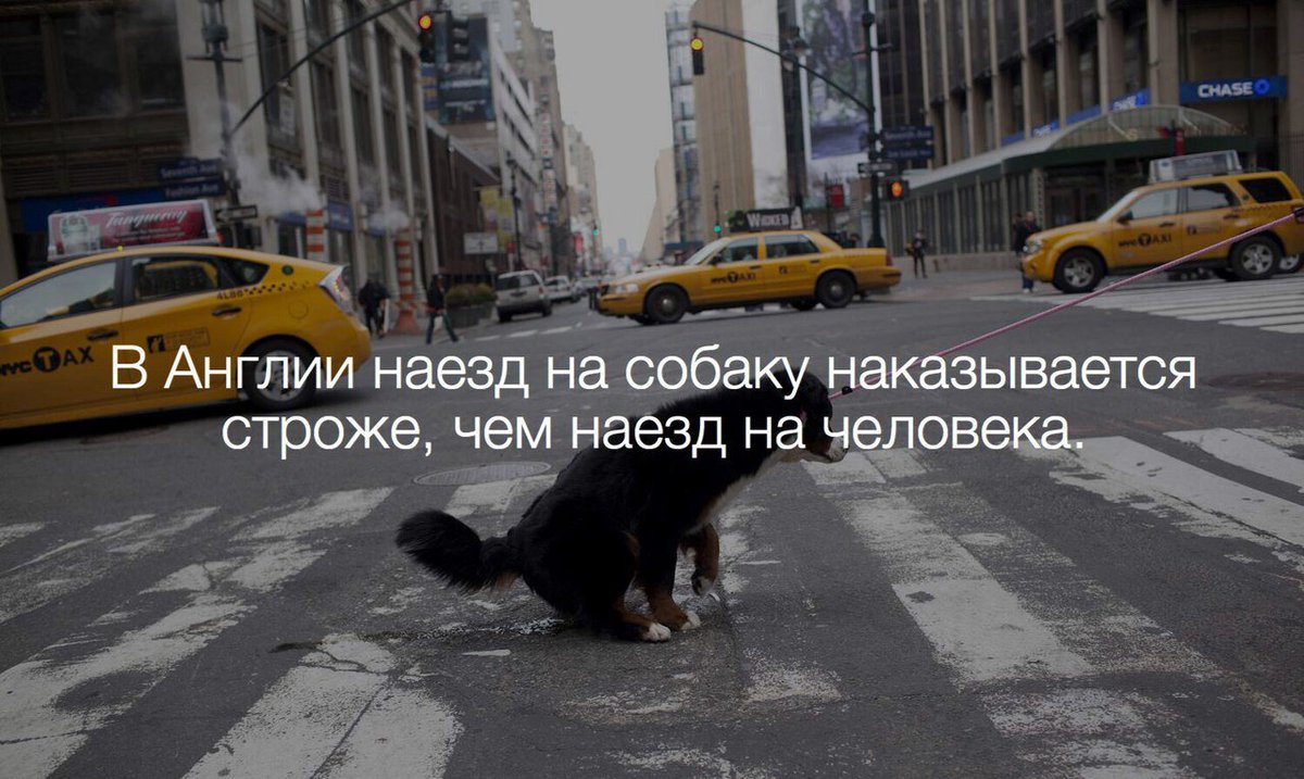 Не знали что наехали на смотрящего. Зил наехал на кавказца. Не знали что наехали на смотрящего. Не знали что наехали на смотрящего. Поддержка вк.