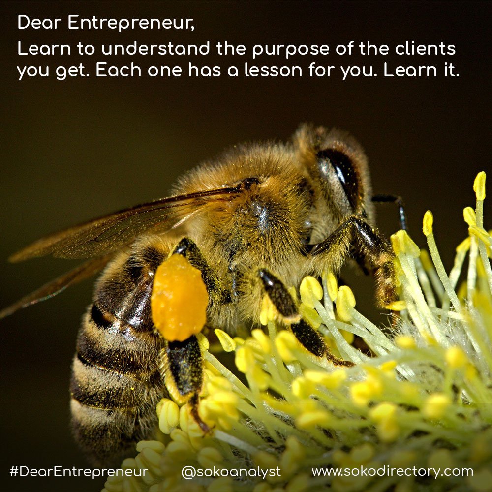 SokoAnalyst's tweet photo. Dear entrepreneur,
Learn to understand the purpose of the client's you get. Each one has a lesson for you. Learn it. https://t.co/awE9pxUwRX