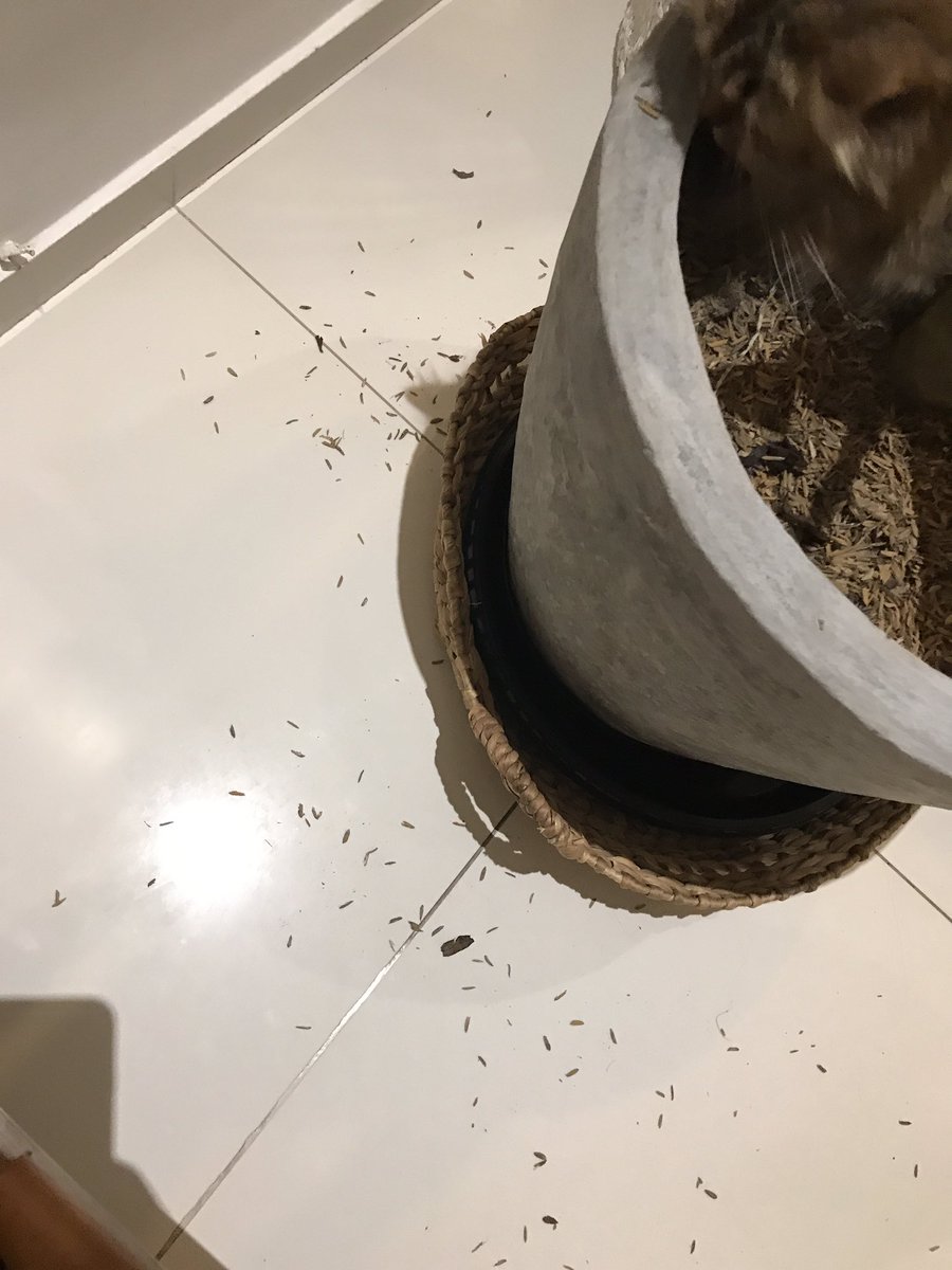 선인장을 좋아할준 몰랐지