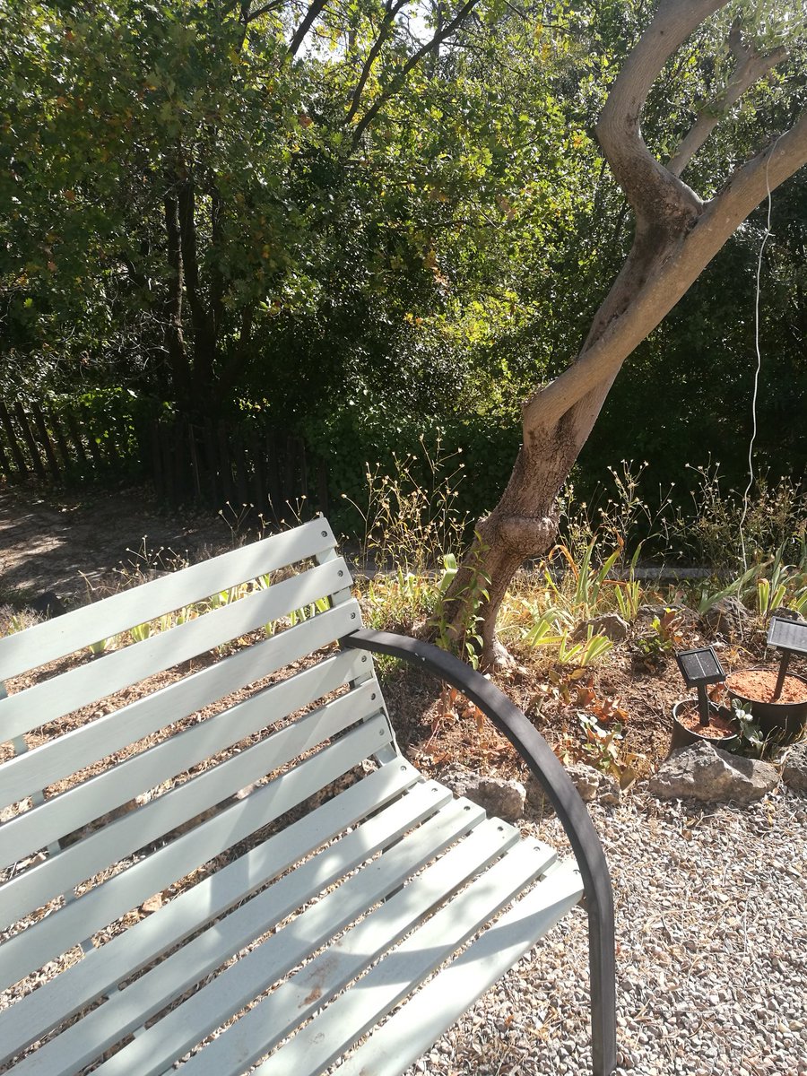 janmannell's tweet photo. Working on my #DMSep17 course in the south of France, perfect spot #digitalmumtobe #freedomseeker https://t.co/IWheRdIbFi