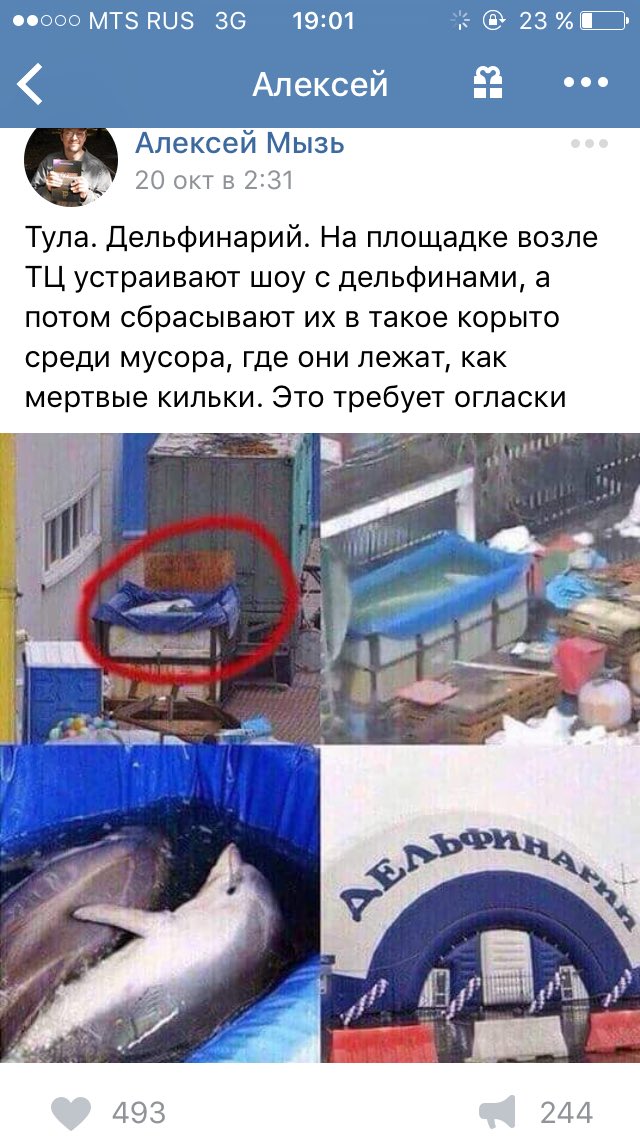 monakhinya's tweet photo. Хватит у вас духу ходить на подобные шоу, зная как люди обращаются с животными после? https://t.co/VOPQWrlhie