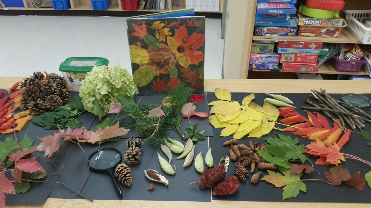 Kellie Woodlock (@kelliewoodlock) on Twitter photo Outdoor Education. A walk in the woods to collect nature. See what we make later today. <a href="/KellieWoodlock/">Kellie Woodlock</a> <a href="/AndrewHunterES/">Andrew Hunter E.S. #scdsbBestKeptSecret</a> <a href="/SCDSB_arts/">SCDSB arts</a> Outdoor Education. A walk in the woods to collect nature. See what we make later today. <a href="/KellieWoodlock/">Kellie Woodlock</a> <a href="/AndrewHunterES/">Andrew Hunter E.S. #scdsbBestKeptSecret</a> <a href="/SCDSB_arts/">SCDSB arts</a>