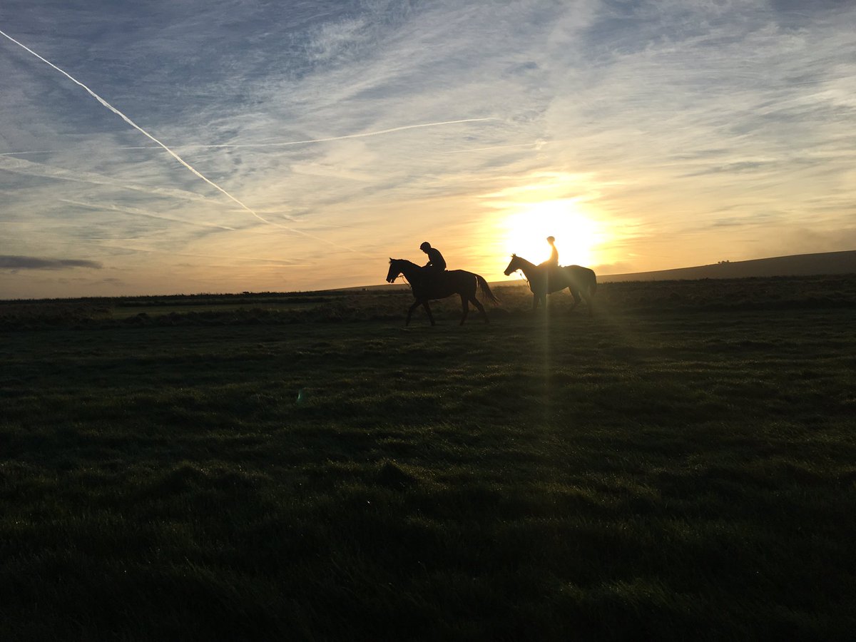 HarryJCharlton's tweet photo. Countermeasure and Time Chaser enjoying a beautiful morning on the Trial Grounds #beckhampton https://t.co/G2A4fq1uuU