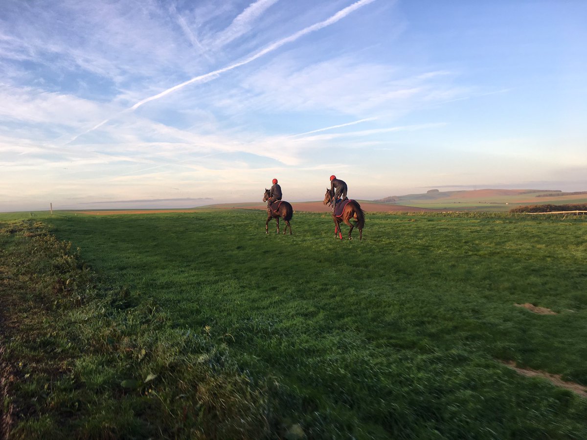 HarryJCharlton's tweet photo. Countermeasure and Time Chaser enjoying a beautiful morning on the Trial Grounds #beckhampton https://t.co/G2A4fq1uuU