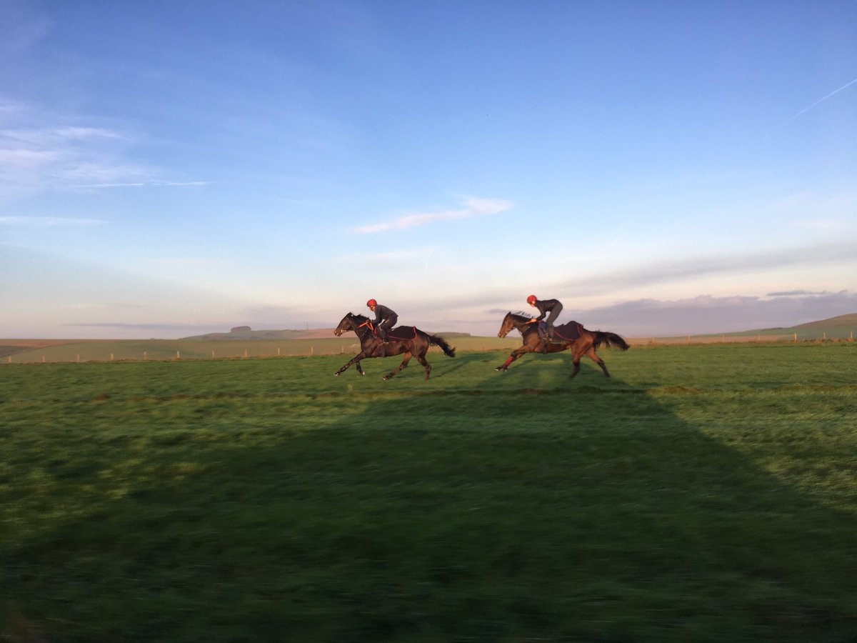 HarryJCharlton's tweet photo. Countermeasure and Time Chaser enjoying a beautiful morning on the Trial Grounds #beckhampton https://t.co/G2A4fq1uuU