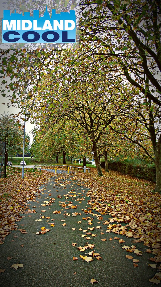 Midland_Cool's tweet image. Need #heating for just the #coldspells?  We have #portableheaters available for #hire, call us to find out more midlandcool.com/portableheater…