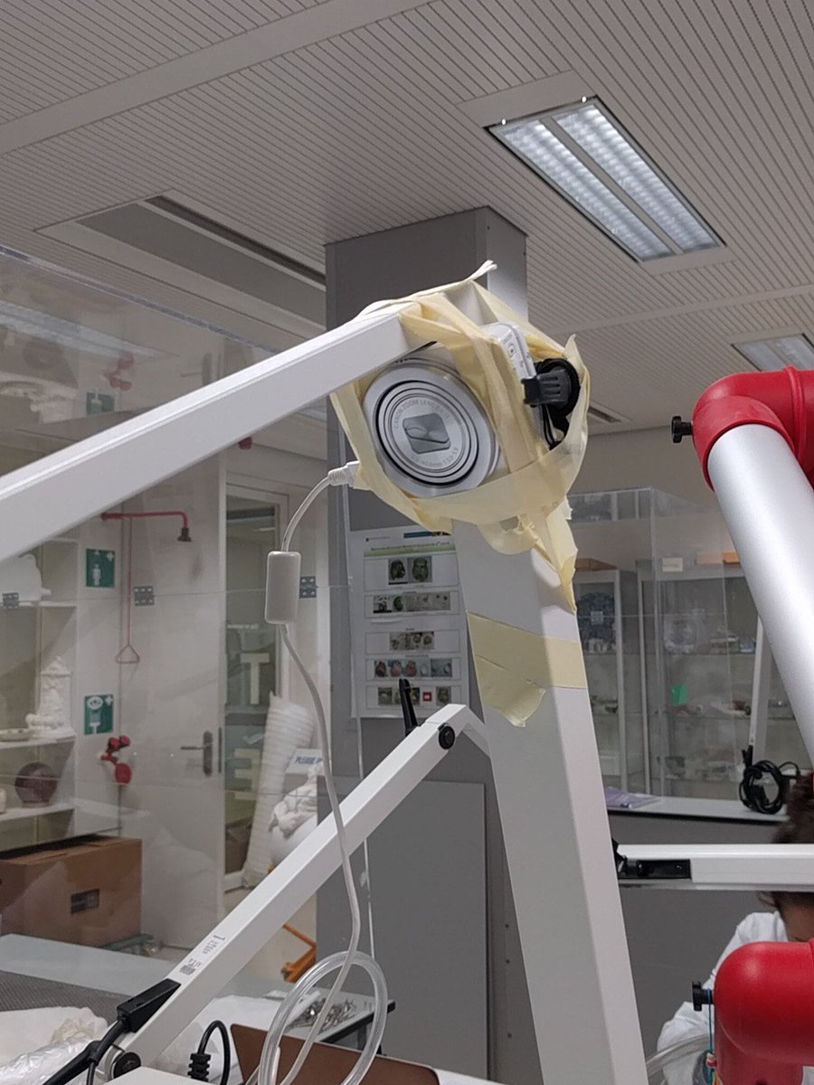 digitwithraven's tweet image. The things one does in the name of YouTube #OnLocation #ConservationProblems