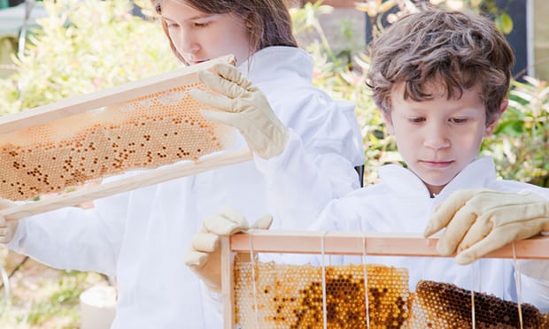 #HalfTerm plans? Hobbies such as beekeeping &amp; gardening could inspire a new generation of STEM practitioners theguardian.com/lifeandstyle/2…